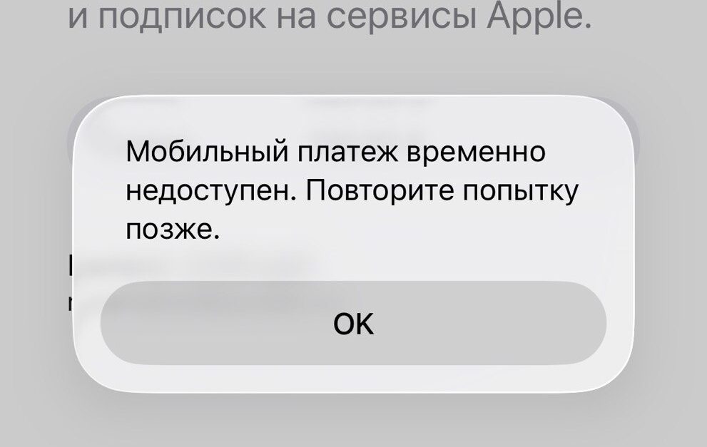 photo 2026 04 01 10 46 42 e1775030808580